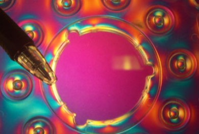 A COP lens viewed under polarized light